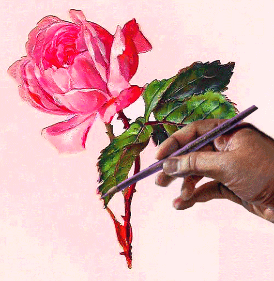 карандашный рисунок розы~Анимационные блестящие открытки GIF