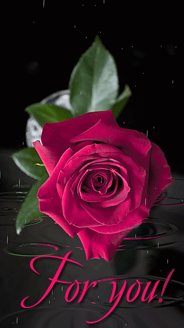 Роза под дождем~Анимационные блестящие открытки GIF