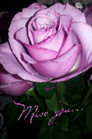 Роскошная роза~Анимационные блестящие открытки GIF