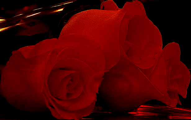Красная Роза~Анимационные блестящие открытки GIF