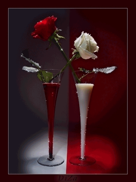 Белая и красная роза~Анимационные блестящие открытки GIF