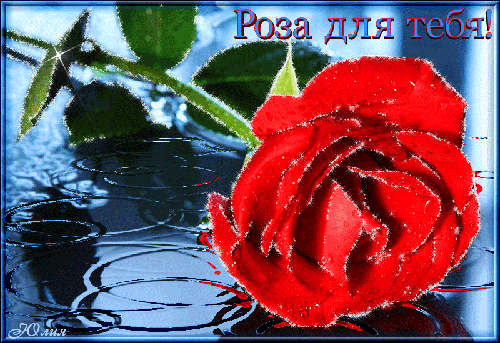 Роза для тебя.~Анимационные блестящие открытки GIF