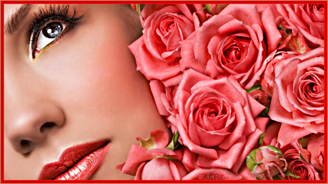 Розовые розы...~Анимационные блестящие открытки GIF