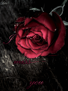 Роза под дождём~Анимационные блестящие открытки GIF