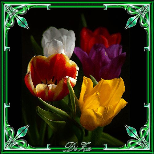 Тюльпаны~Анимационные блестящие открытки GIF