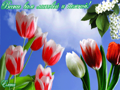 Ласковой и нежной весны!~Анимационные блестящие открытки GIF