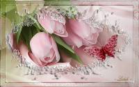 Цветы тюльпаны - Тюльпаны открытки и картинки