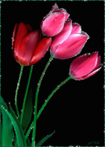 Розовые тюльпаны анимация~Анимационные блестящие открытки GIF