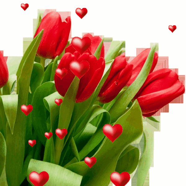 тюльпаны~Анимационные блестящие открытки GIF