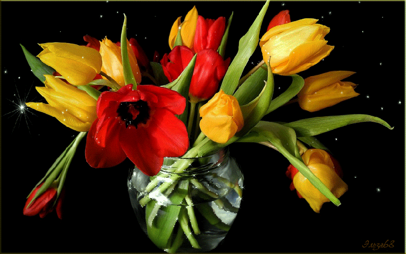 Фото - тюльпаны~Анимационные блестящие открытки GIF