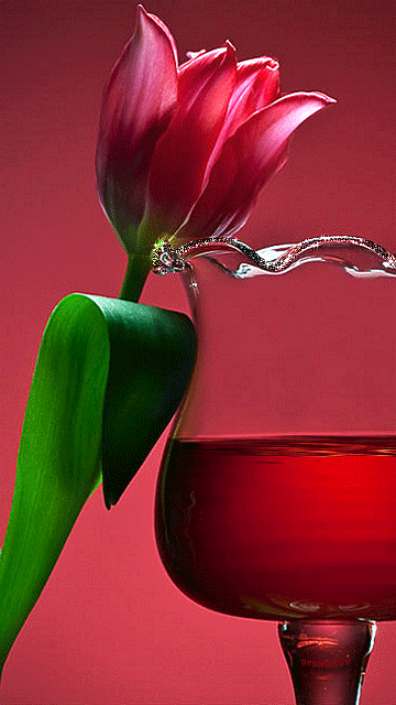 Нежный тюльпан~Анимационные блестящие открытки GIF
