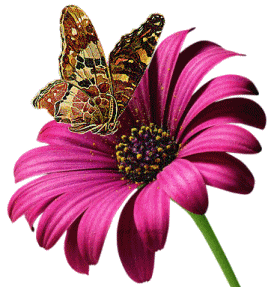 Бабочка и цветок~Анимационные блестящие открытки GIF
