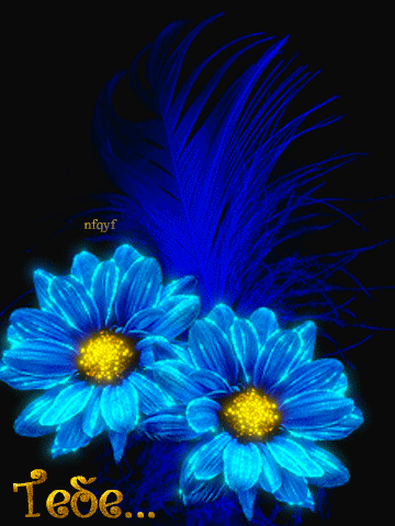 Синие цветы тебе - Ромашки открытки и картинки