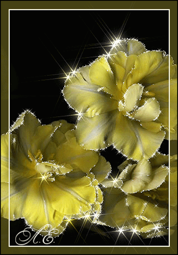 Жёлтые мерцающие цветы~Анимационные блестящие открытки GIF