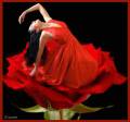 Девушка роза - Красивые цветы открытки и картинки