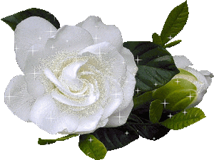 Белые розы~Анимационные блестящие открытки GIF