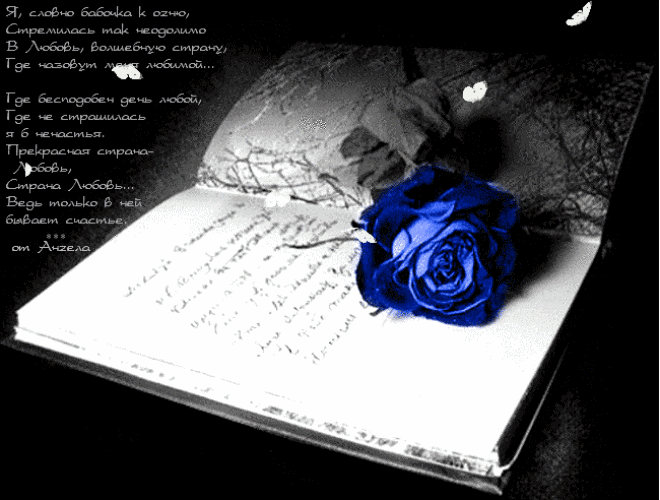 Роза в дневнике~Анимационные блестящие открытки GIF