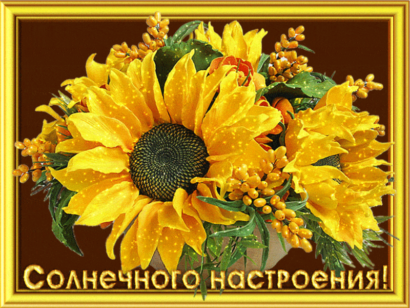 Подсолнухи букет - Красивые цветы открытки и картинки