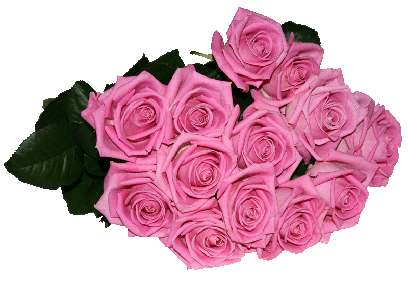 Букет розовых роз~Анимационные блестящие открытки GIF