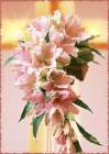 Букет лилий - Красивые цветы открытки и картинки