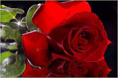 Лучезарная роза~Анимационные блестящие открытки GIF