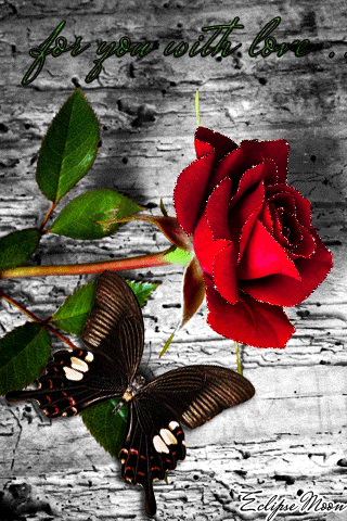 Красная роза с бабочкой~Анимационные блестящие открытки GIF