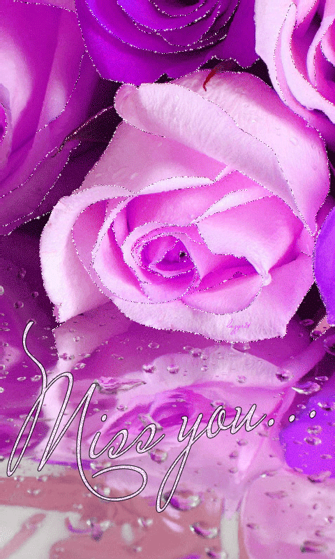 Фиолетовые розы~Анимационные блестящие открытки GIF