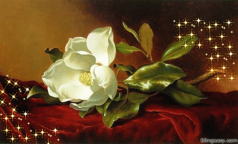 Красивый белый цветок~Анимационные блестящие открытки GIF