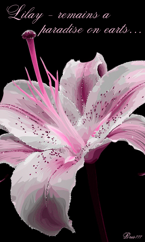Розовая лилия~Анимационные блестящие открытки GIF
