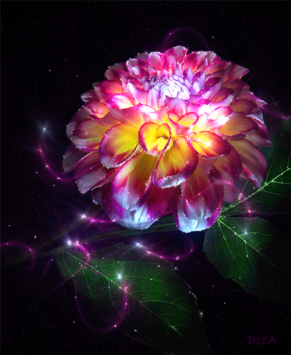Волшебный цветок~Анимационные блестящие открытки GIF