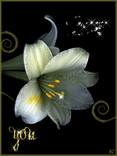 Белый цветок~Анимационные блестящие открытки GIF