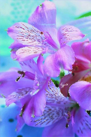 Нежные лилово-голубые цветы~Анимационные блестящие открытки GIF