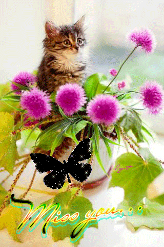 Котенок в цветочном горшке картинки~Анимационные блестящие открытки GIF