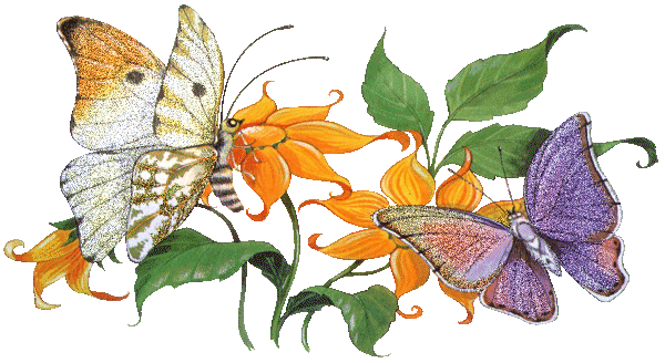 Цветы и бабочки~Анимационные блестящие открытки GIF