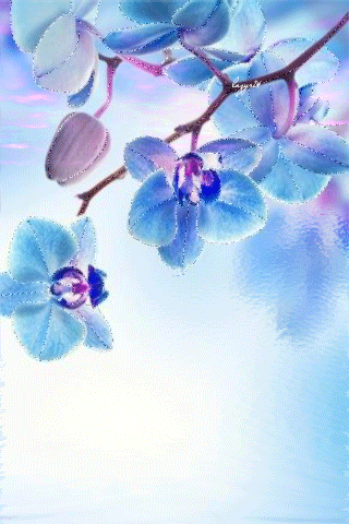 Голубая орхидея~Анимационные блестящие открытки GIF