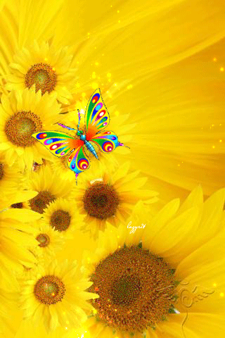 Подсолнухи с бабочками картинки~Анимационные блестящие открытки GIF