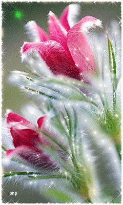 Розовый цветок~Анимационные блестящие открытки GIF