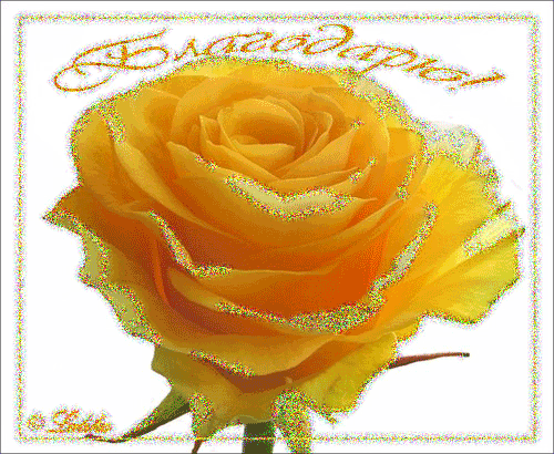 желтая роза~Анимационные блестящие открытки GIF