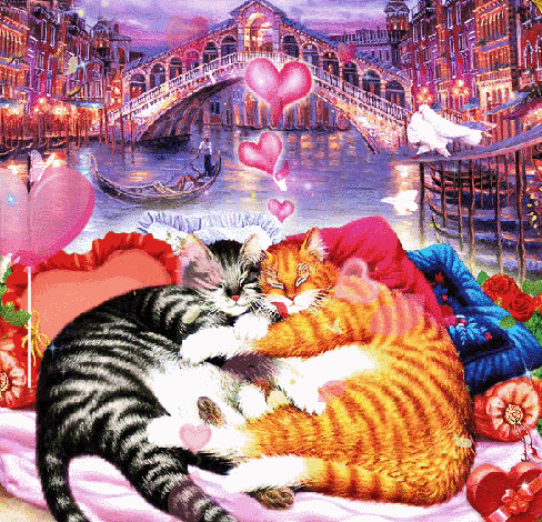 Влюблённые коты~Анимационные блестящие открытки GIF