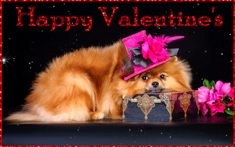 Happy Valentines Day прикольная картинка~Анимационные блестящие открытки GIF