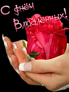 С Днем Влюблённых картинка с розой~Анимационные блестящие открытки GIF