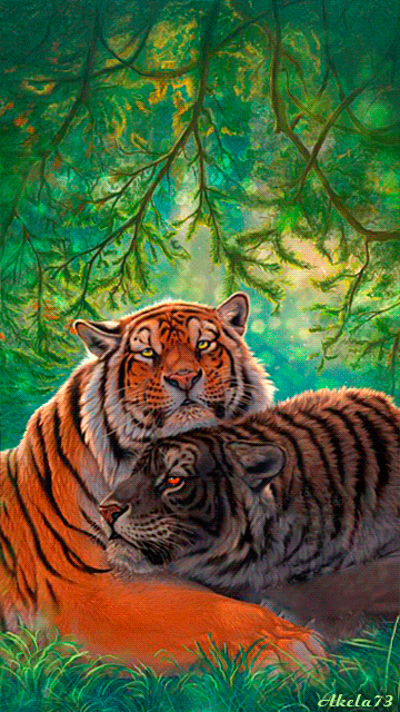 Рисунок с тиграми~Анимационные блестящие открытки GIF