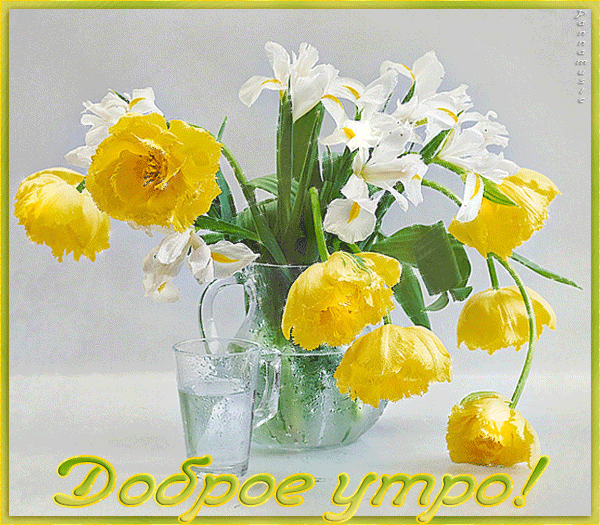 желтые тюльпаны~Анимационные блестящие открытки GIF