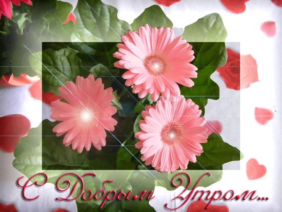 Розовые цветы~Анимационные блестящие открытки GIF