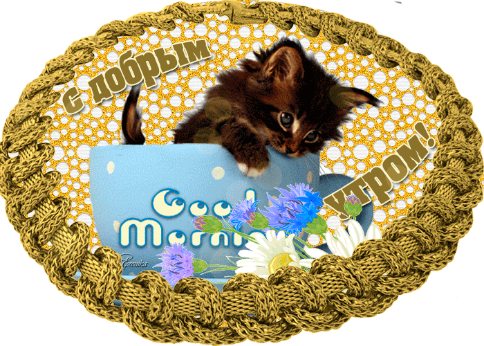 С добрым утром котенок~Анимационные блестящие открытки GIF