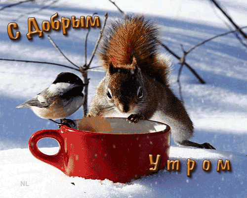 Доброе зимнее утро~Анимационные блестящие открытки GIF