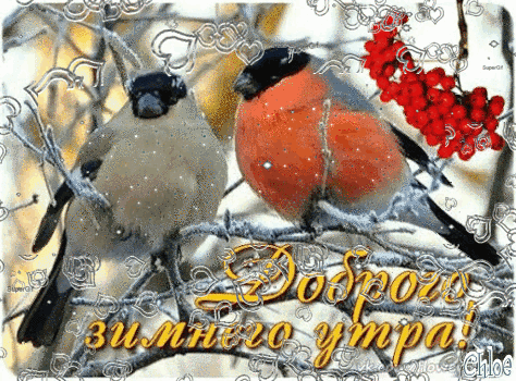 Доброго зимнего утра~Анимационные блестящие открытки GIF
