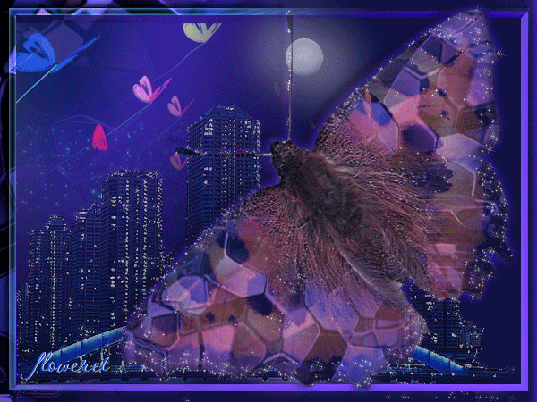 Ночная бабочка~Анимационные блестящие открытки GIF