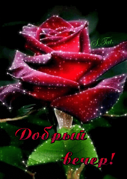 Роза с пожеланием добрый вечер~Анимационные блестящие открытки GIF