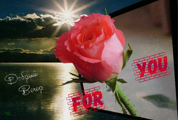 Роза тебе - Добрый вечер открытки и картинки